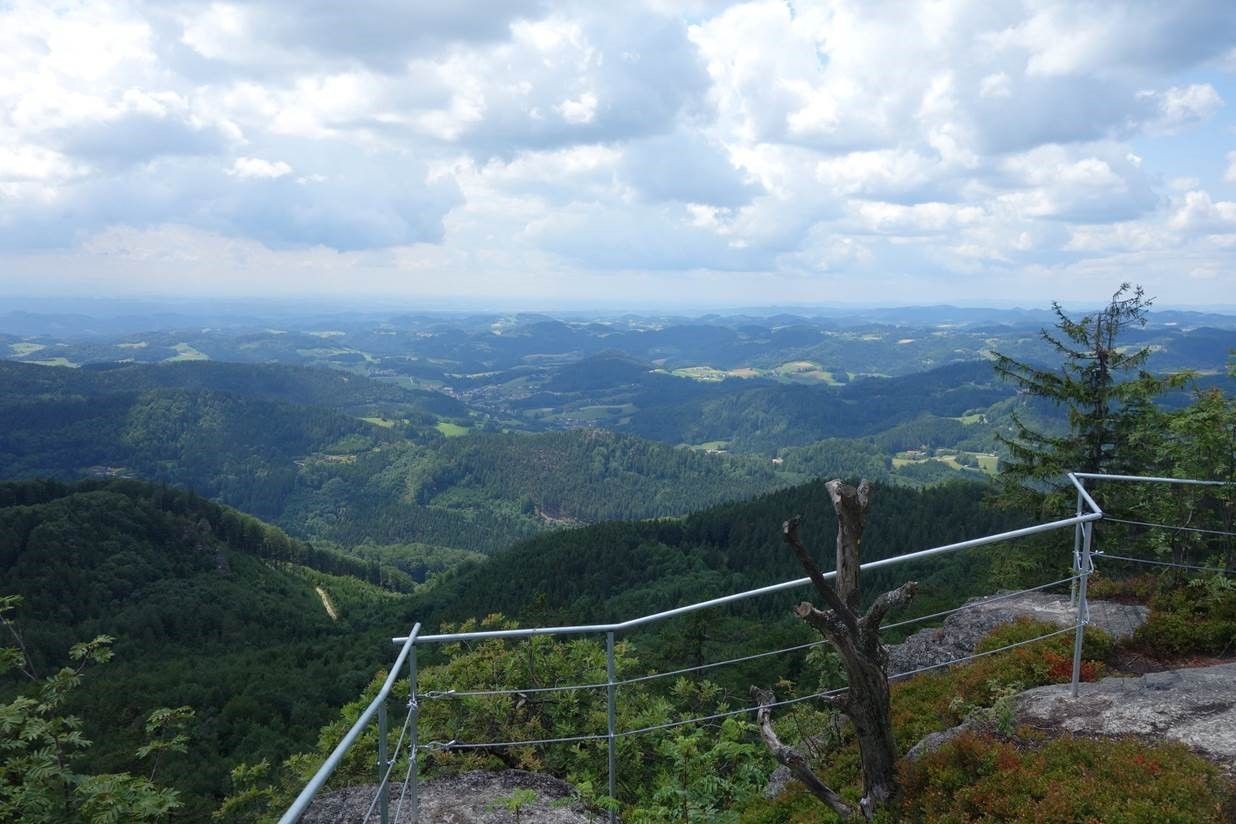 View from the castle stone wall over wooded hills and valleys under a cloudy sky.