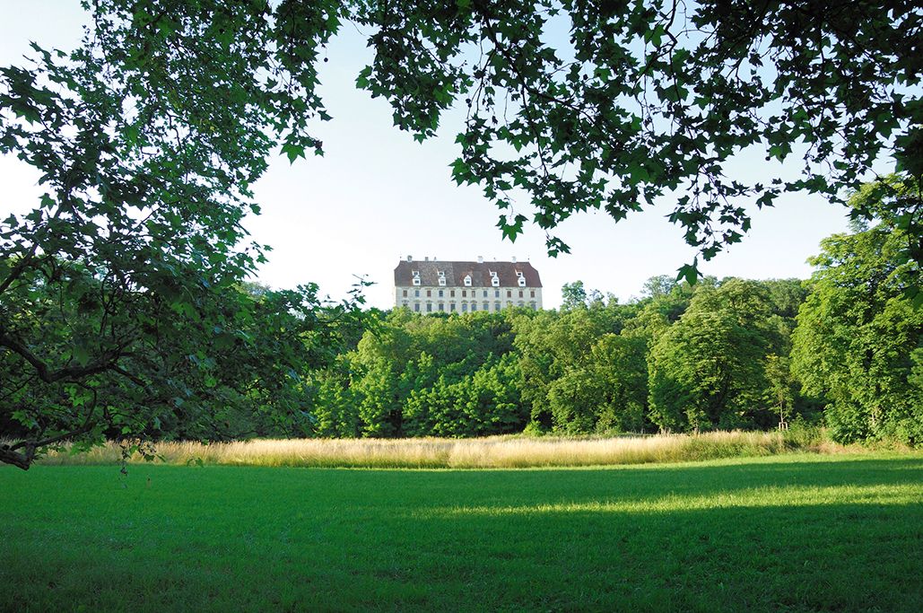 Stetteldorf Castle behind trees and meadow.