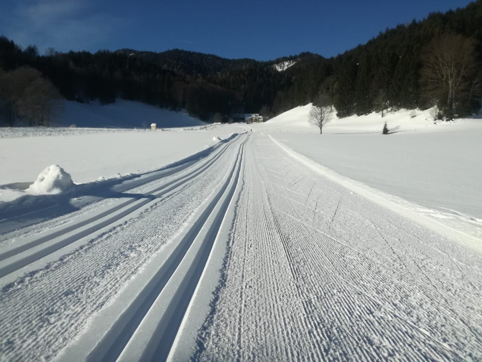 Panoramic trails