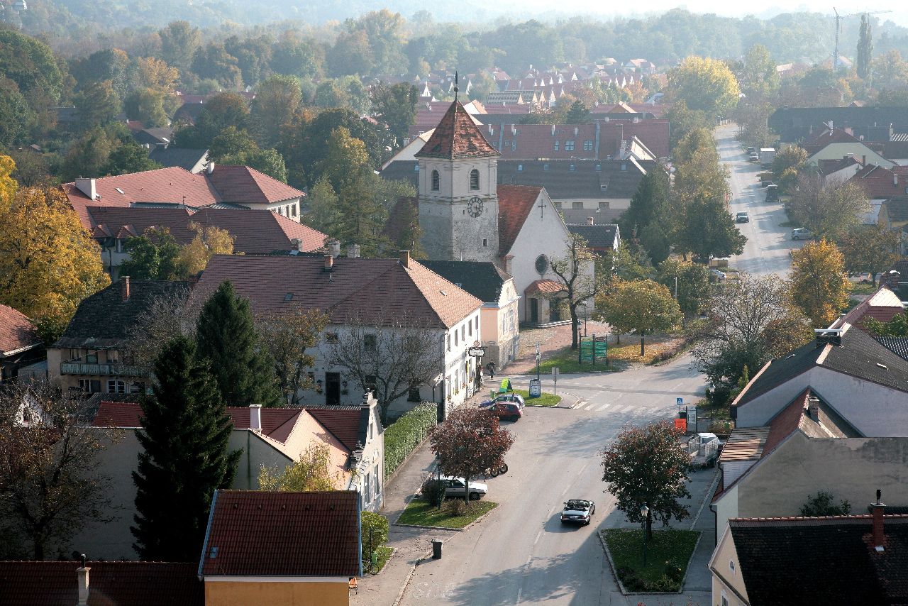 Aerial view of a village with church and trees.