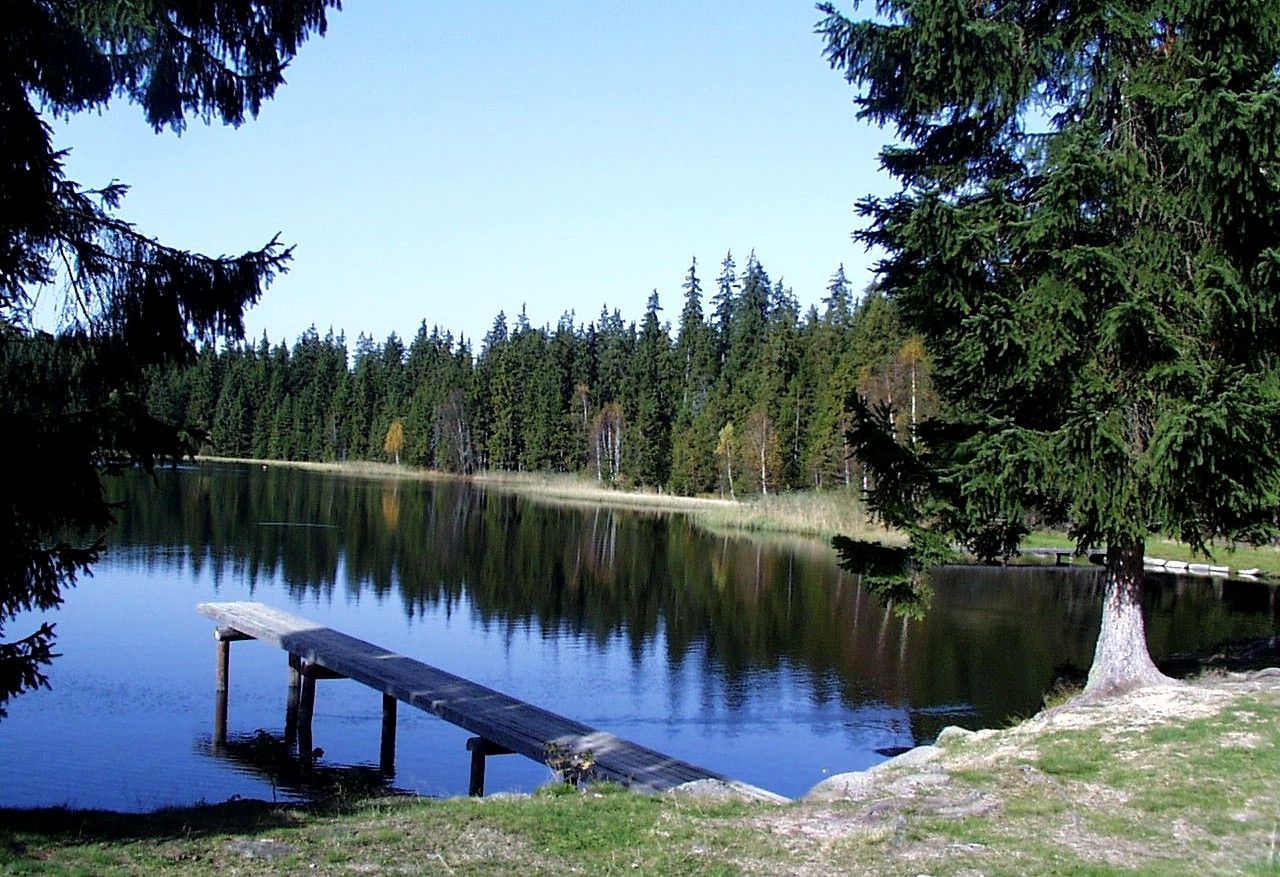 A quiet lake in the Nordwald Nature Park with a wooden footbridge and surrounded by dense conifers.