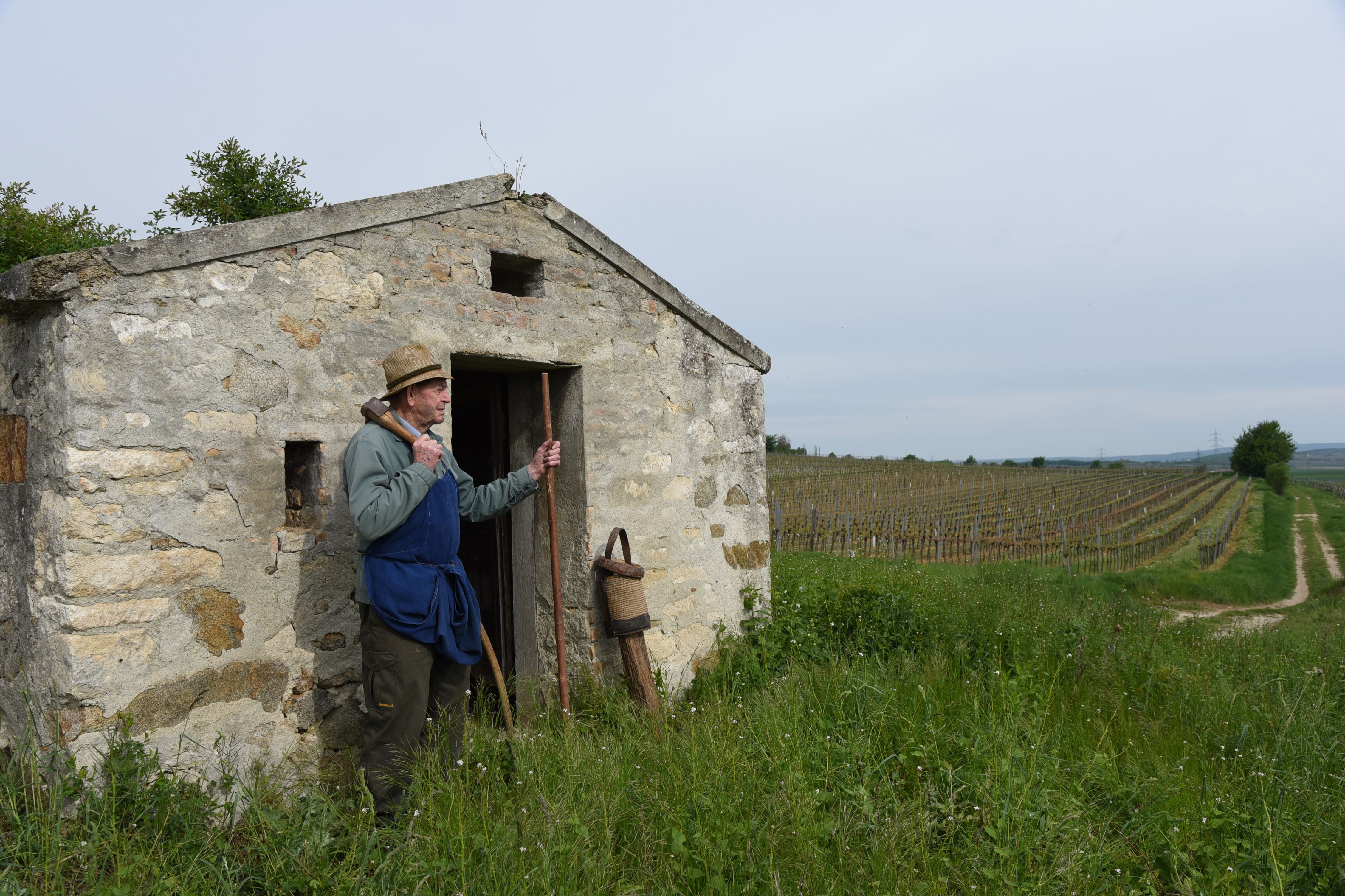 A man in a straw hat stands in front of a small stone hut in a vineyard.