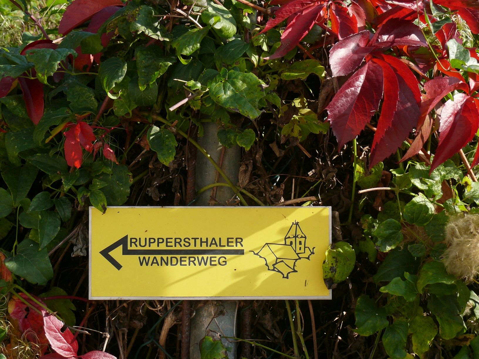 Ruppersthal hiking trail