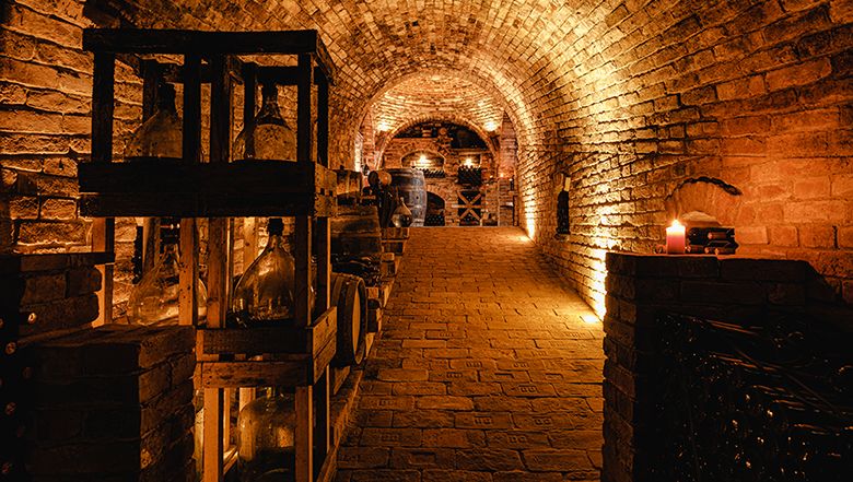 Böck's wine cellar