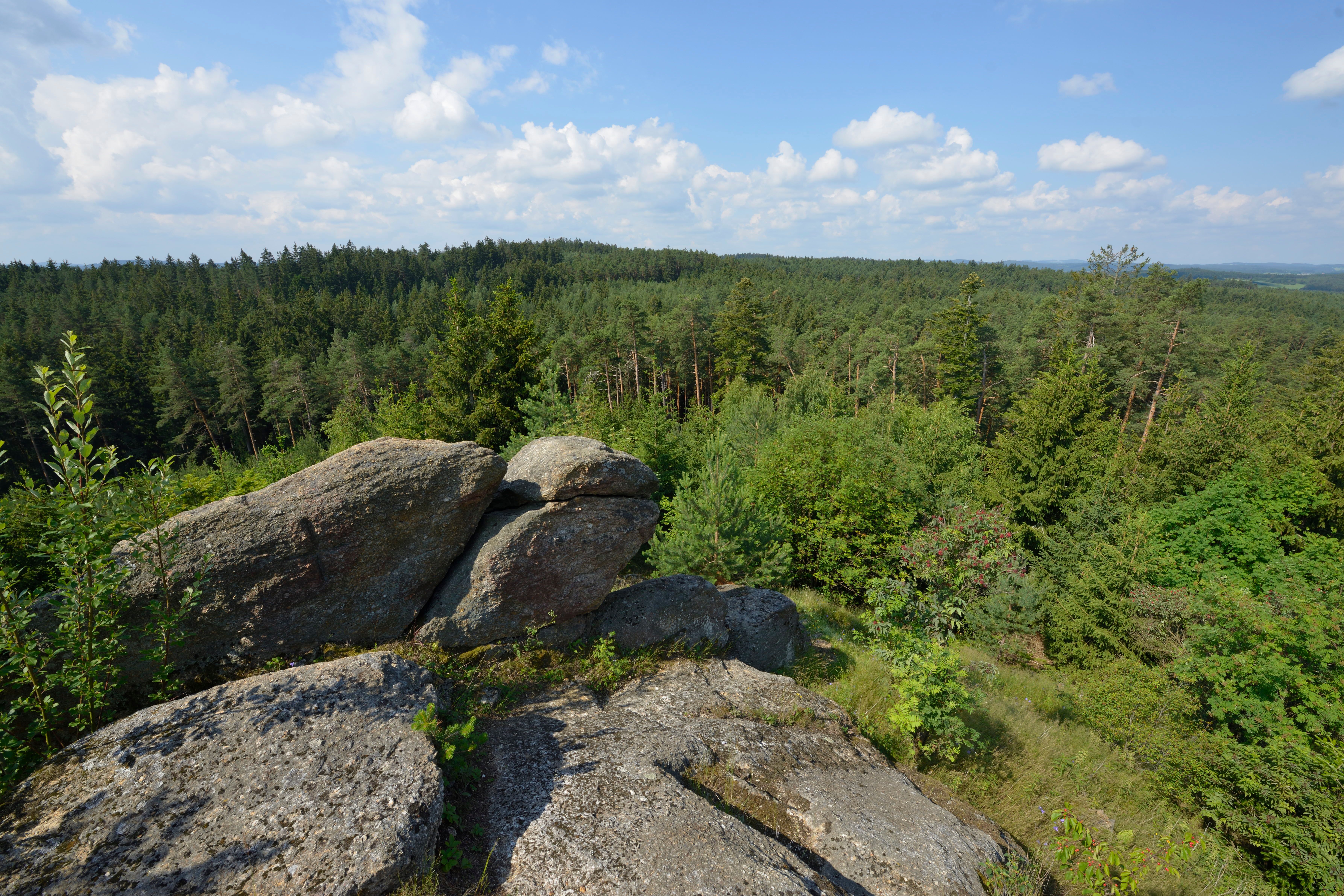 Rocks and forest landscape under a blue sky with clouds.