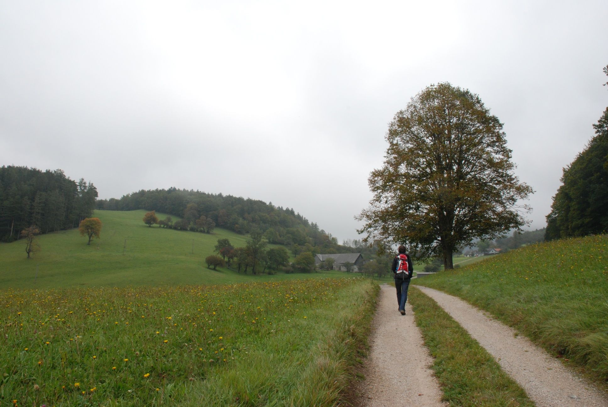 over meadows into the Höfnergraben