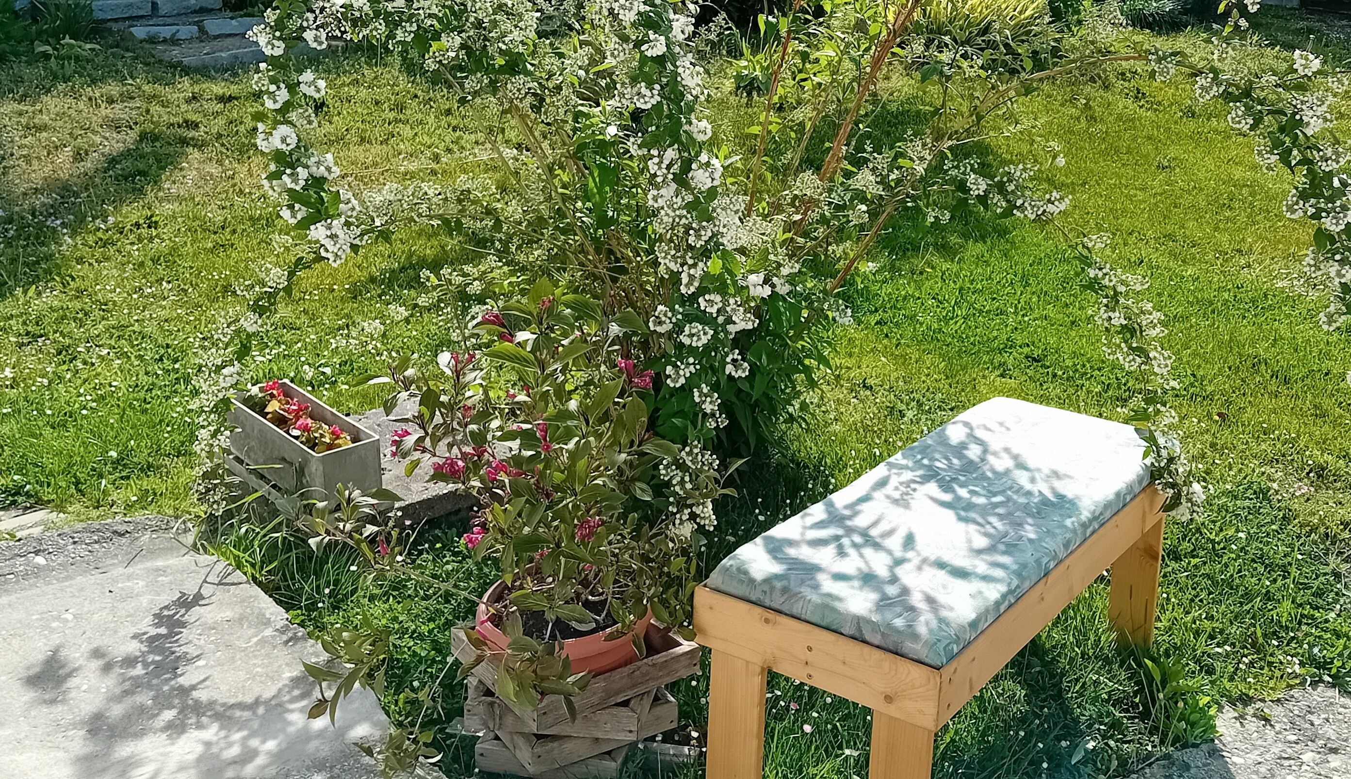 A green garden with a wooden bench, surrounded by blossoming plants and flowers.