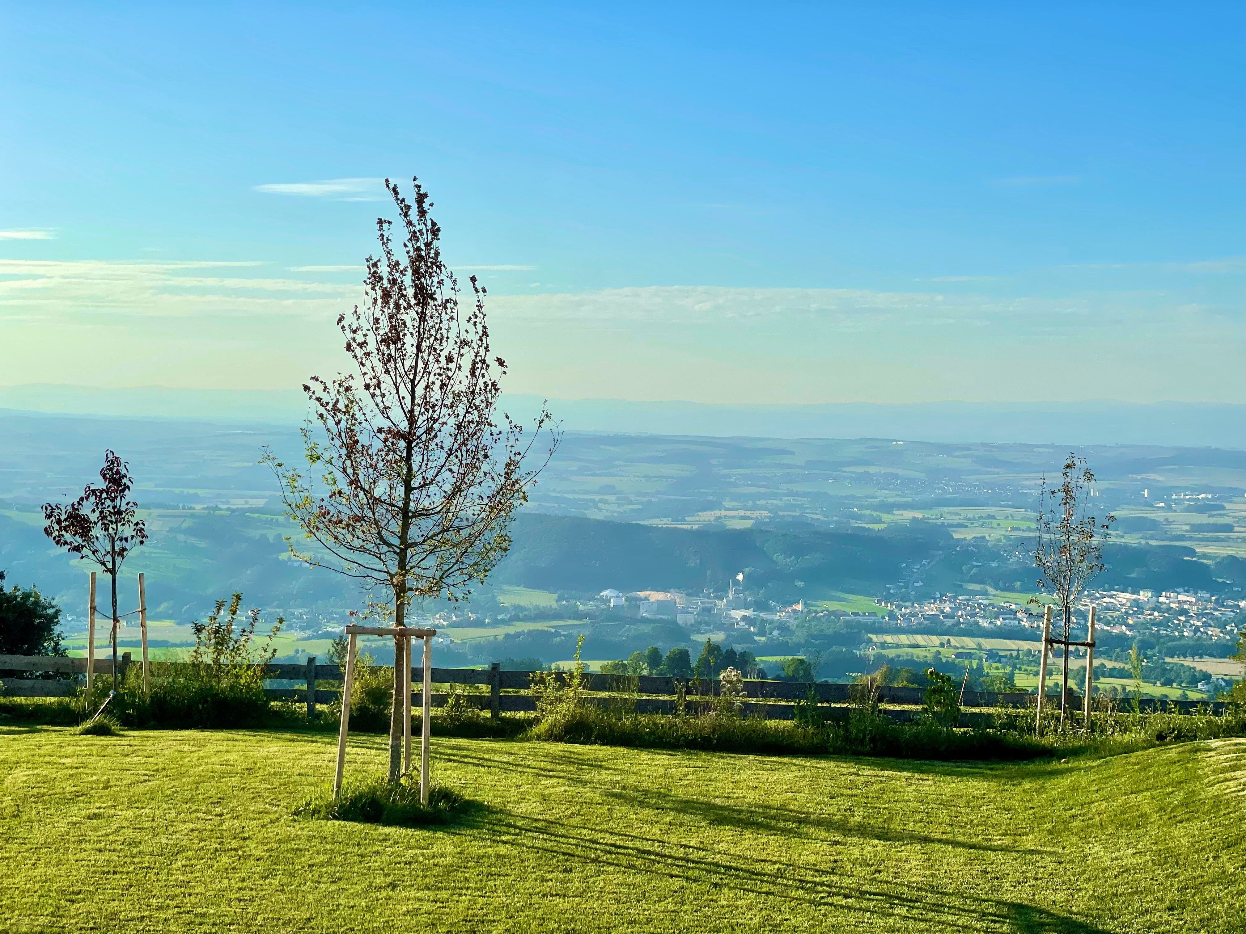 View from the Herzogberg estate