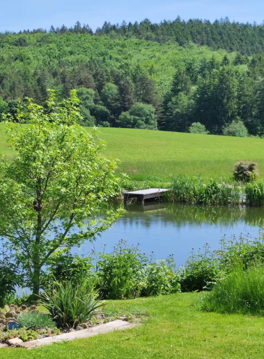 Cottage at the Gföhlerwald