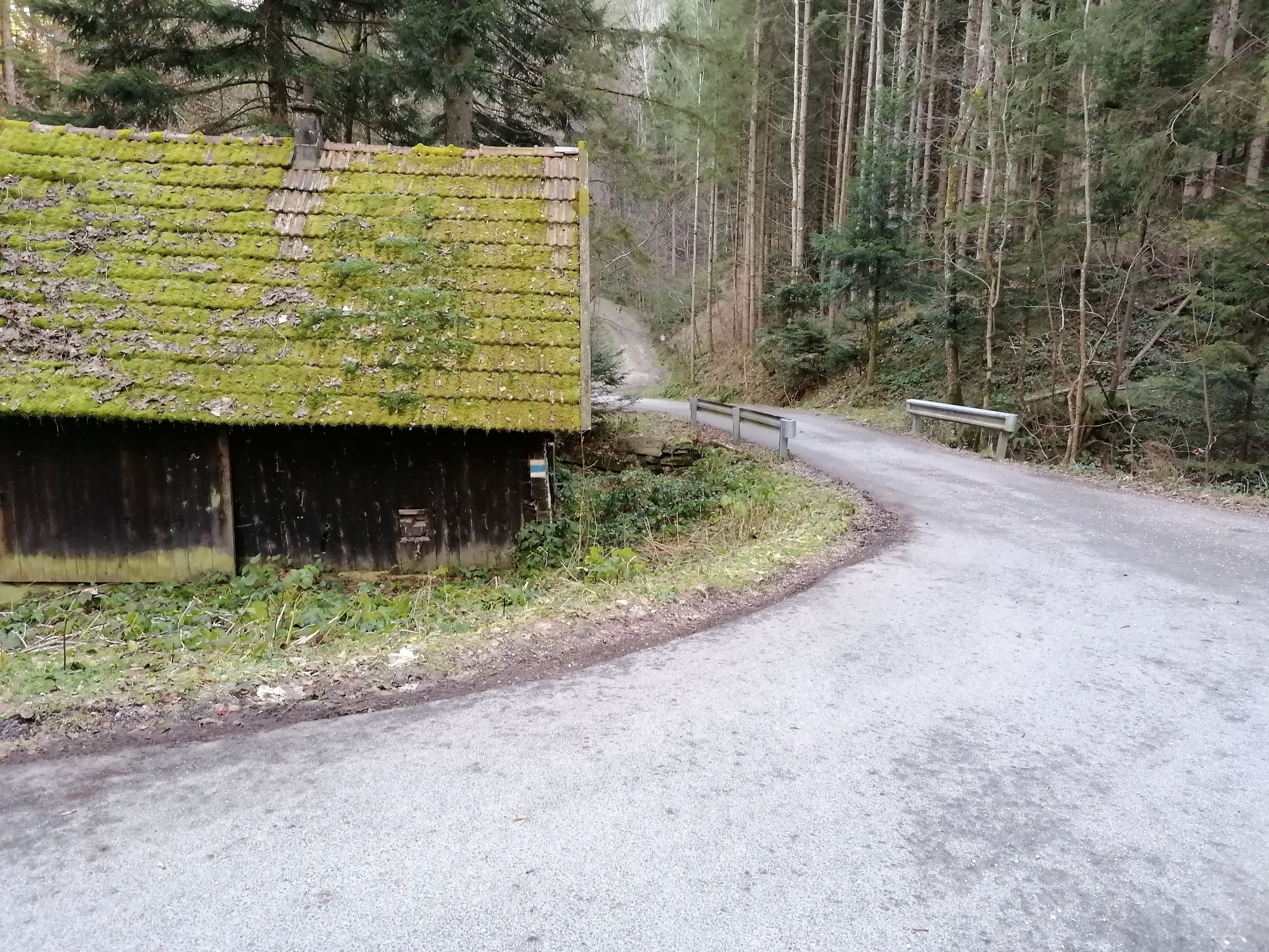 Moss house