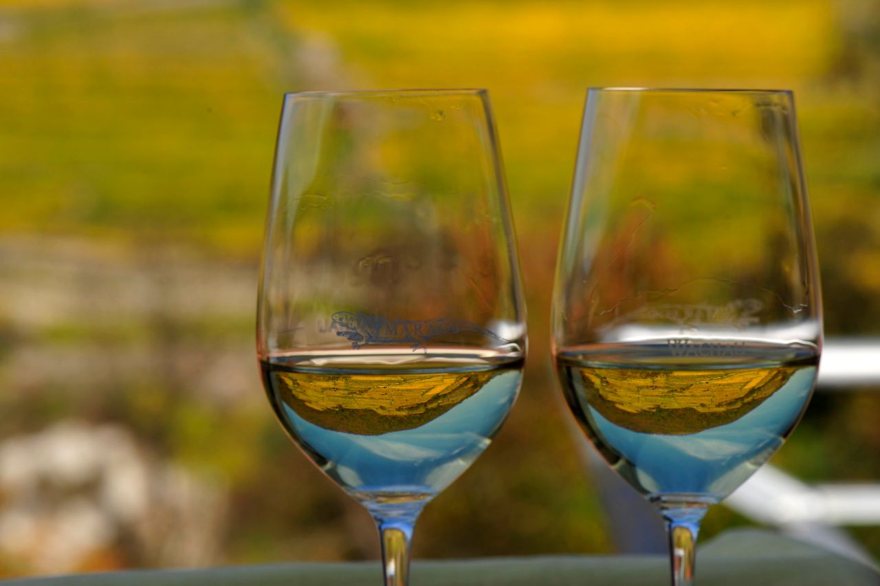 Two wine glasses with white wine in front of a blurred background.