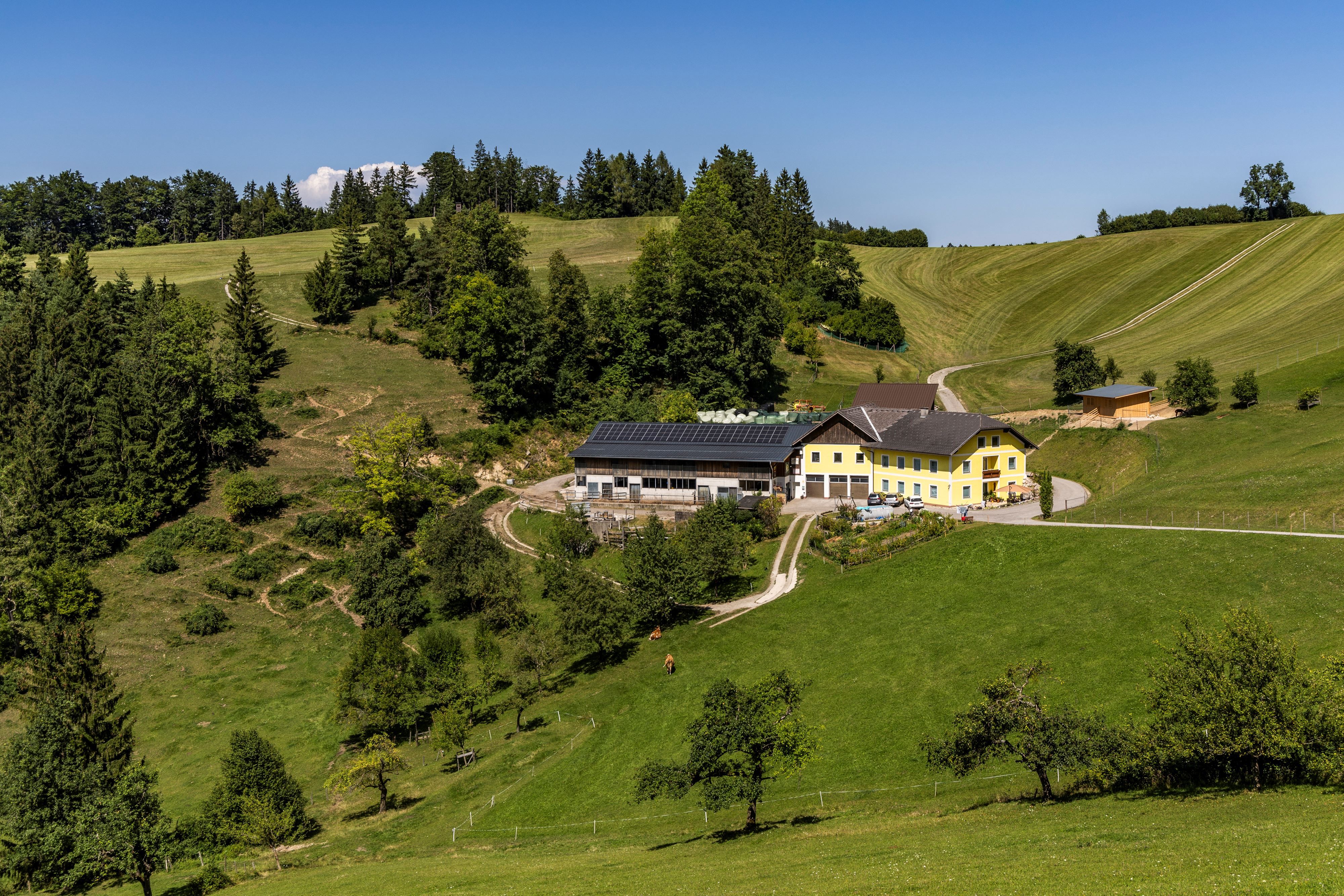 Organic farm Schlangenreith