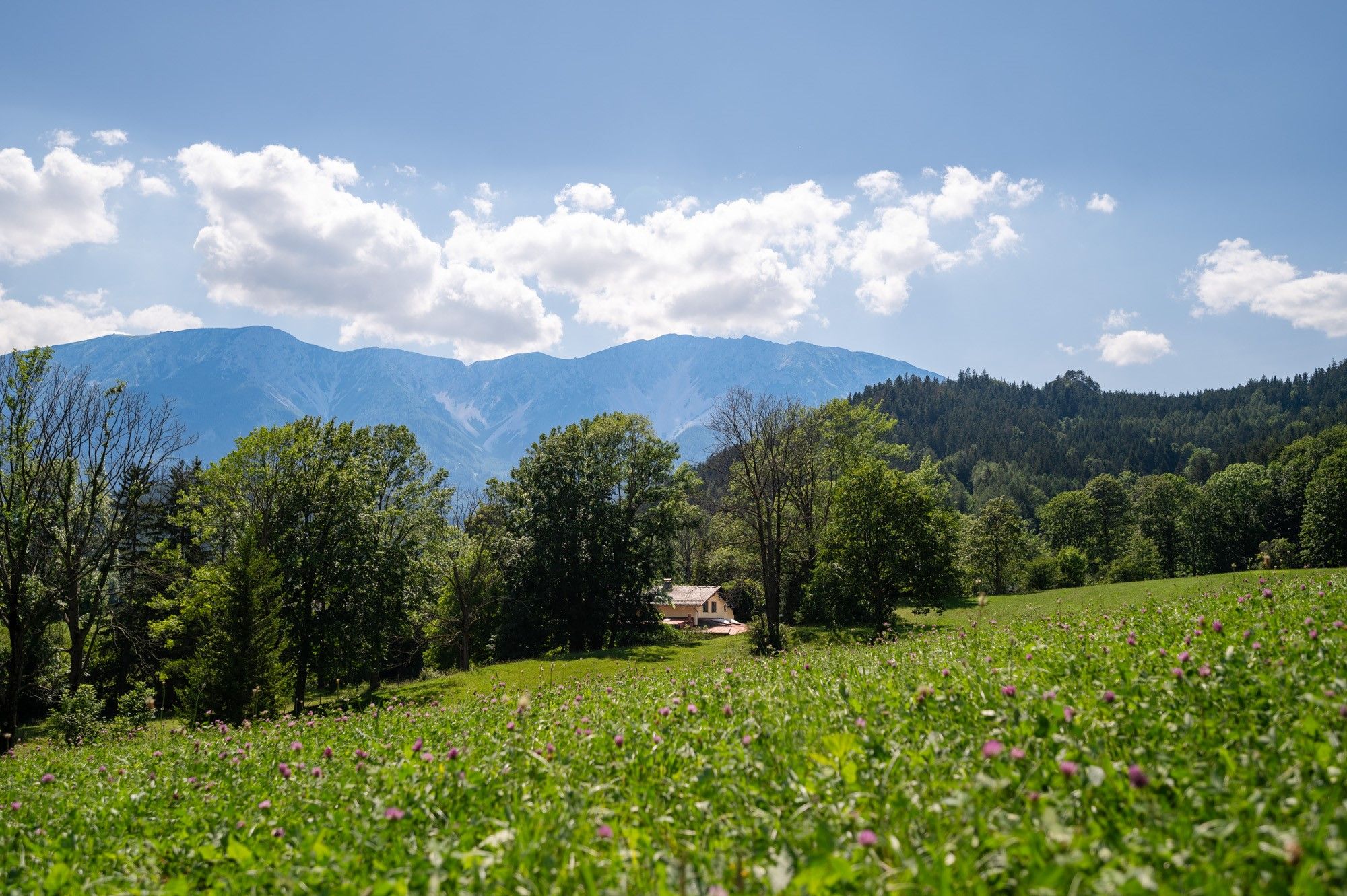 Green meadow with trees and a house in the foreground, mountains behind under a blue sky with clouds.