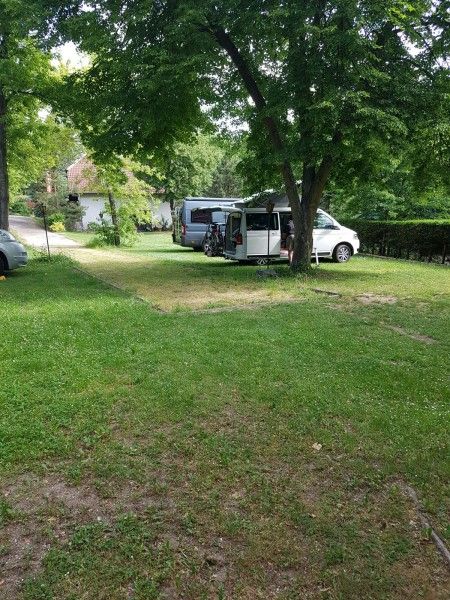 Two mobile homes are parked under trees on a green campsite.