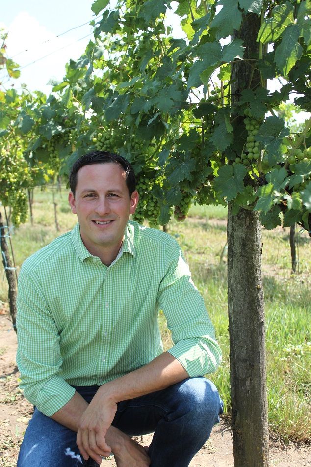 Man in green shirt kneeling in a vineyard next to vines.