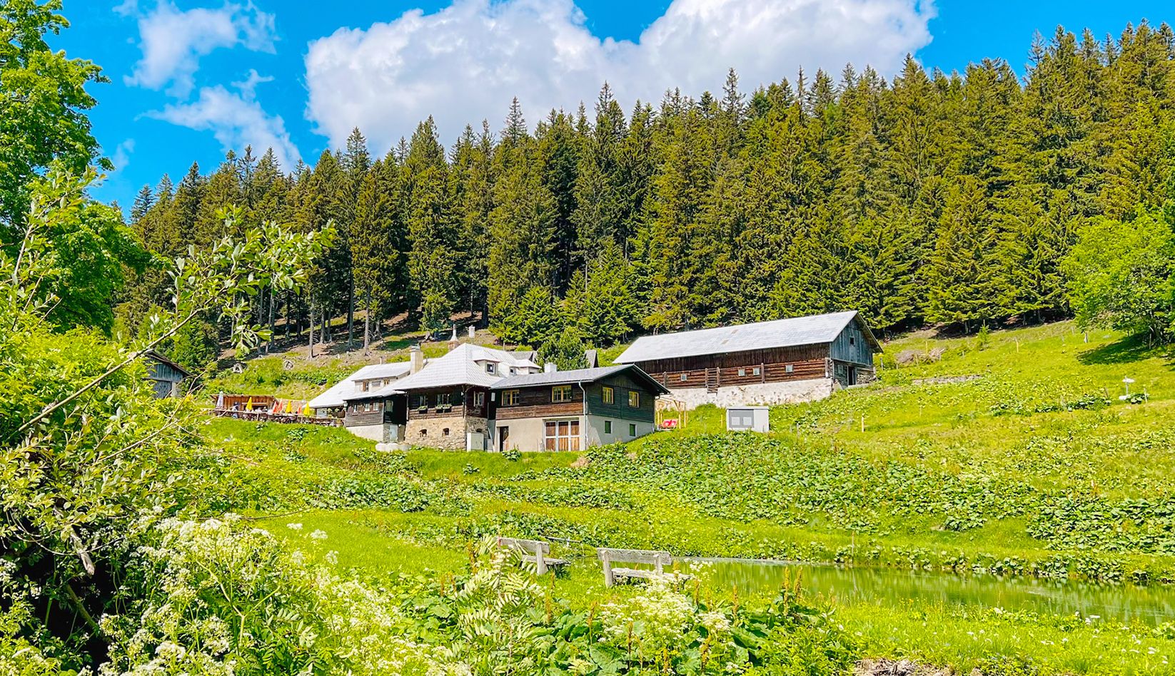 Alpine hut Steyersberger Schwaig in a green landscape with forest in the background.