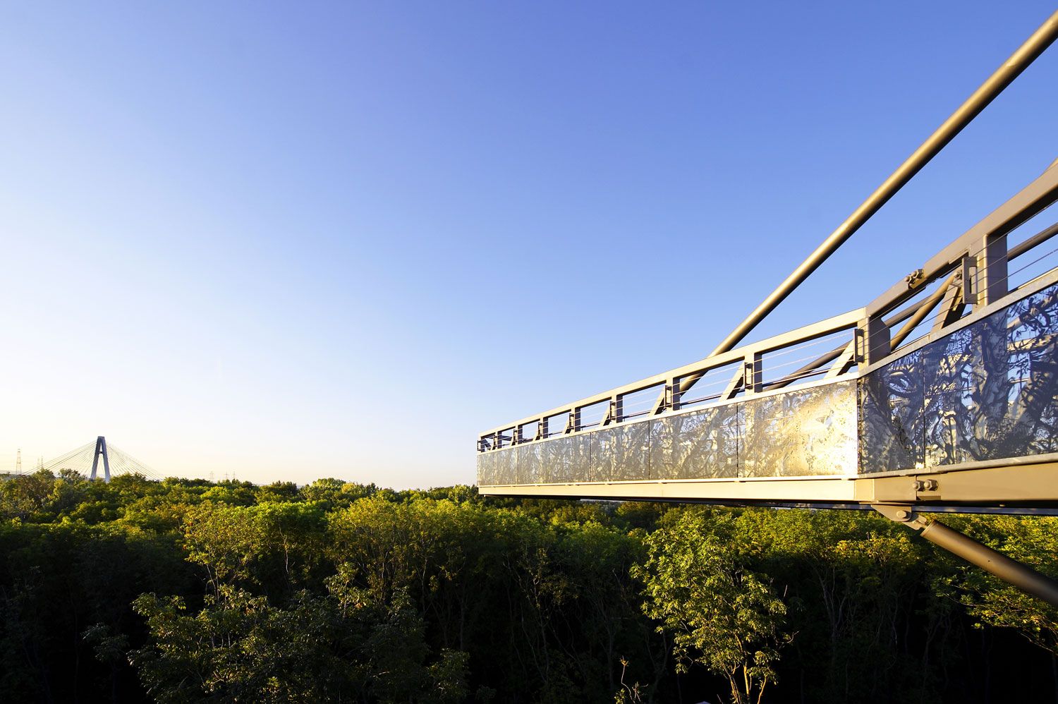 A modern footbridge above the treetops in the Tulln garden under a clear sky.