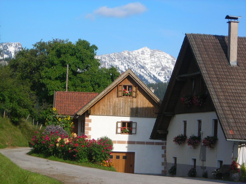 A vacation home with flowers and a mountain in the background.