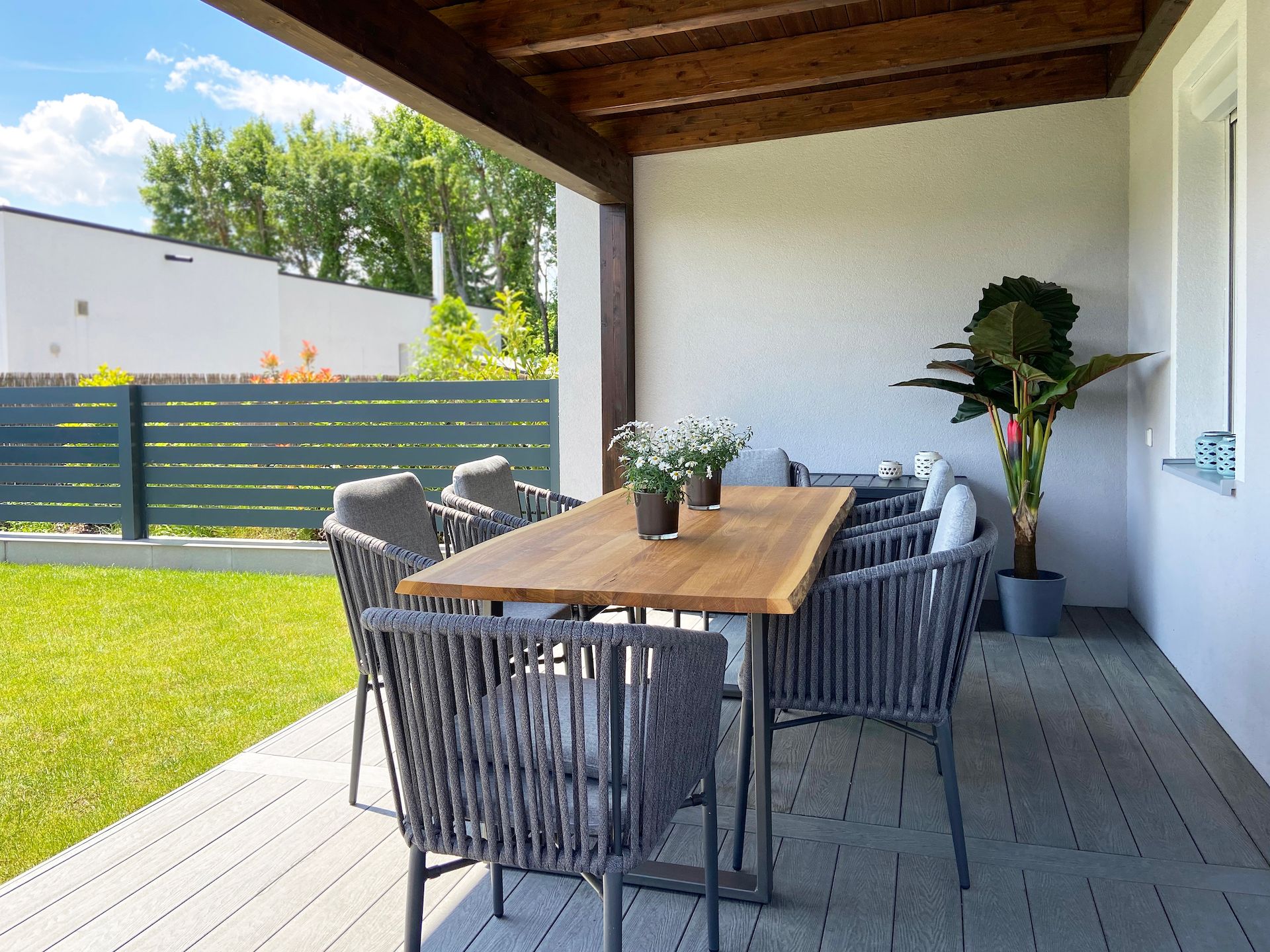 Terrace and garden