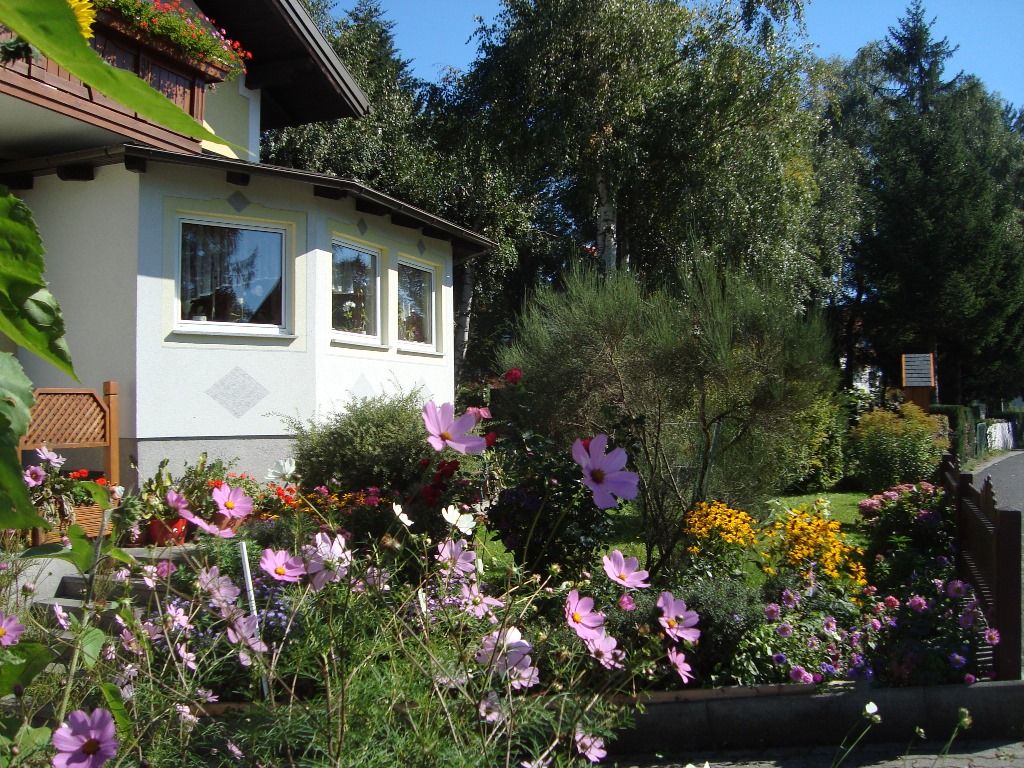 Garden and house