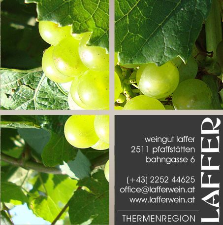 Green grapes and contact details of the Laffer winery.