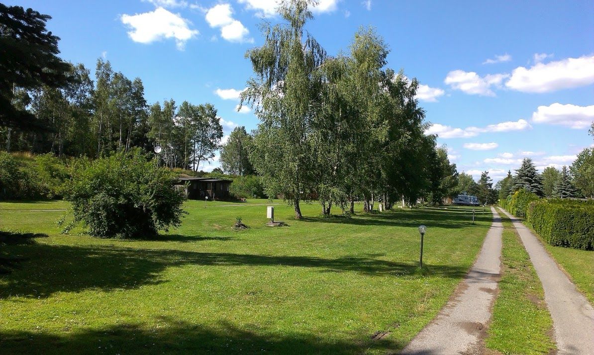 Green meadow with trees and a narrow path under a blue sky.