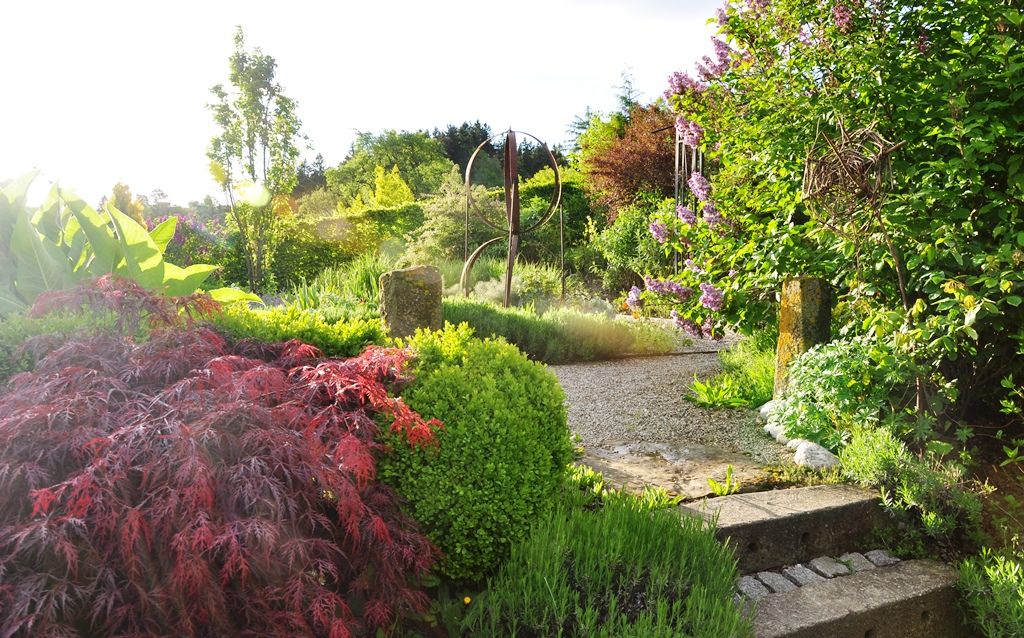 A sunny garden with colorful plants and a gravel path.