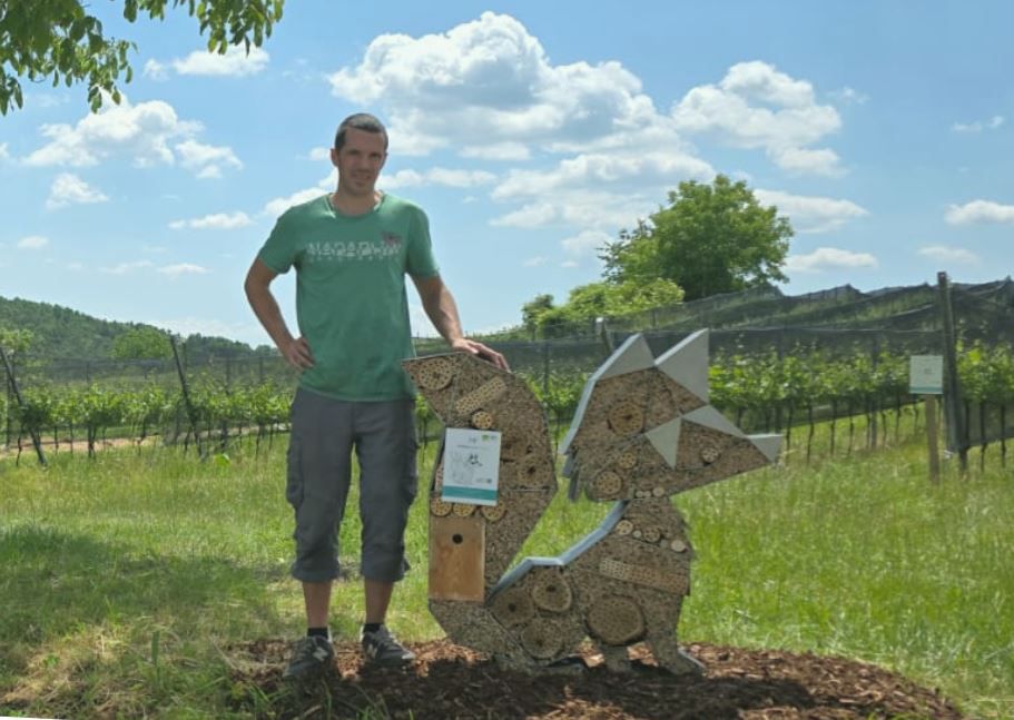 Viticulture Manuel Fuchs