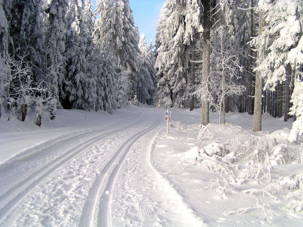 Cross-country skiing in Ottenschlag © Gemeinde Ottenschlag