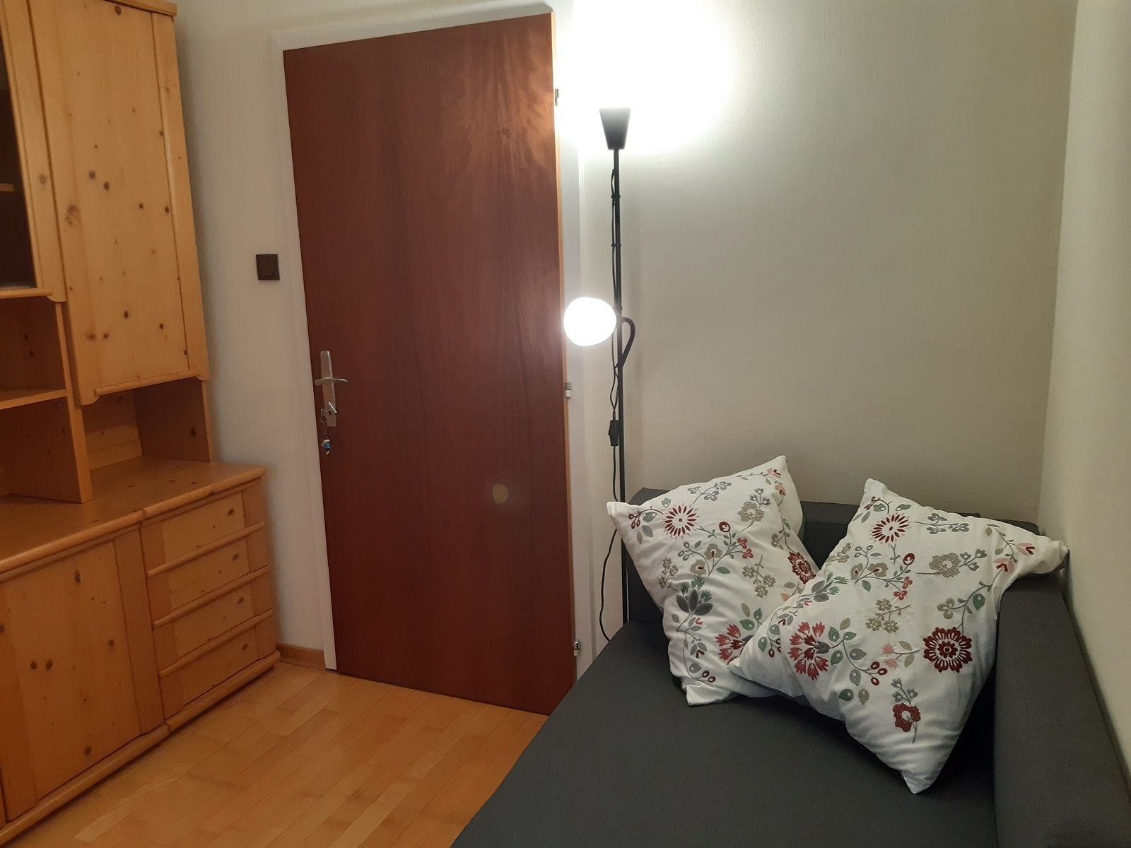 A cozy room with a grey couch, decorated with two embroidered cushions, a wooden cupboard and a floor lamp next to a wooden door.