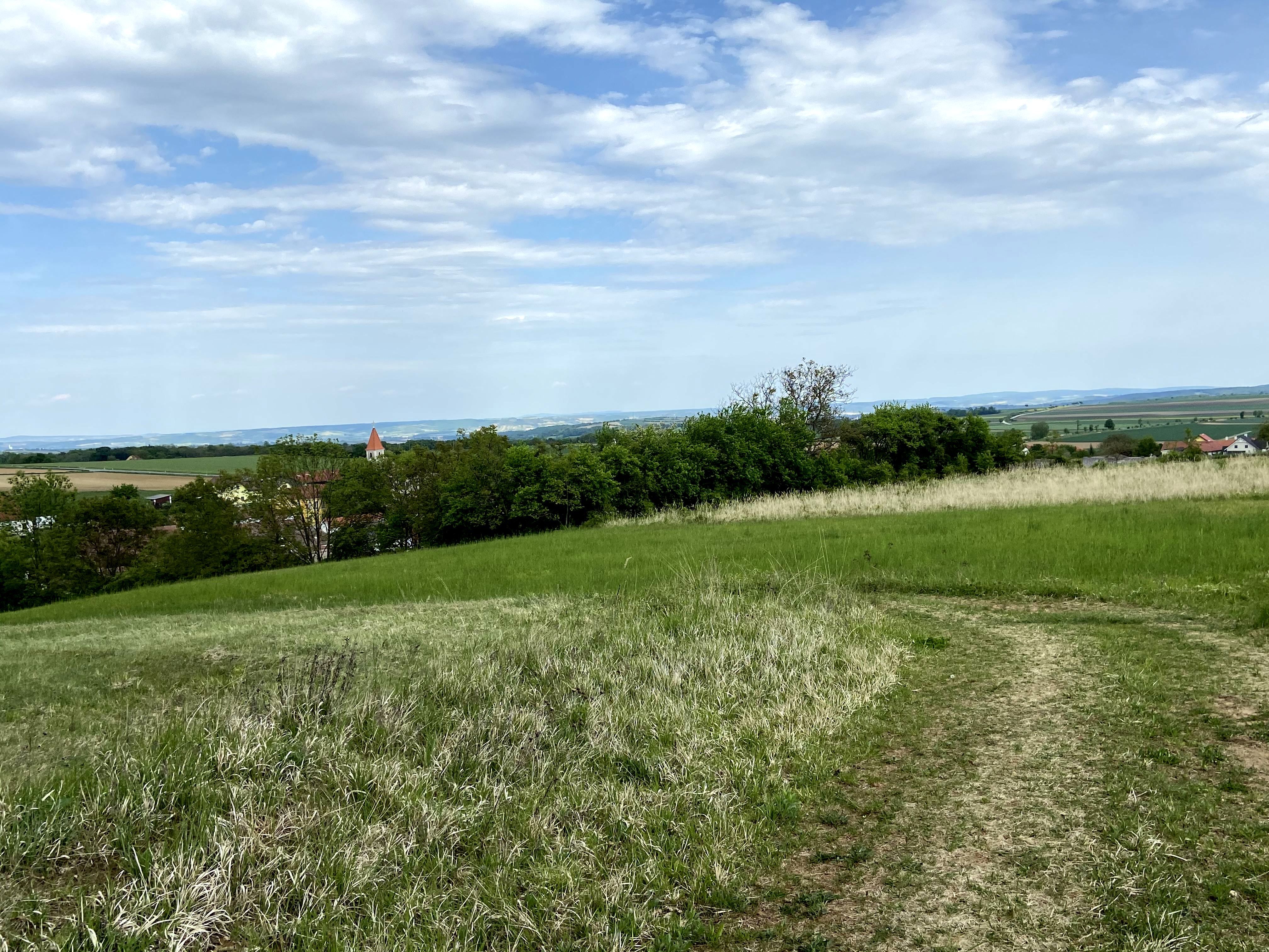 Landscape with a green meadow, trees and a church tower in the background under a blue sky.