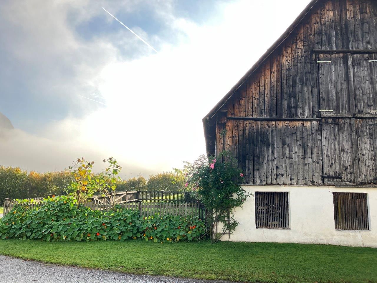 the-old-farmhouse-with-farm-garden