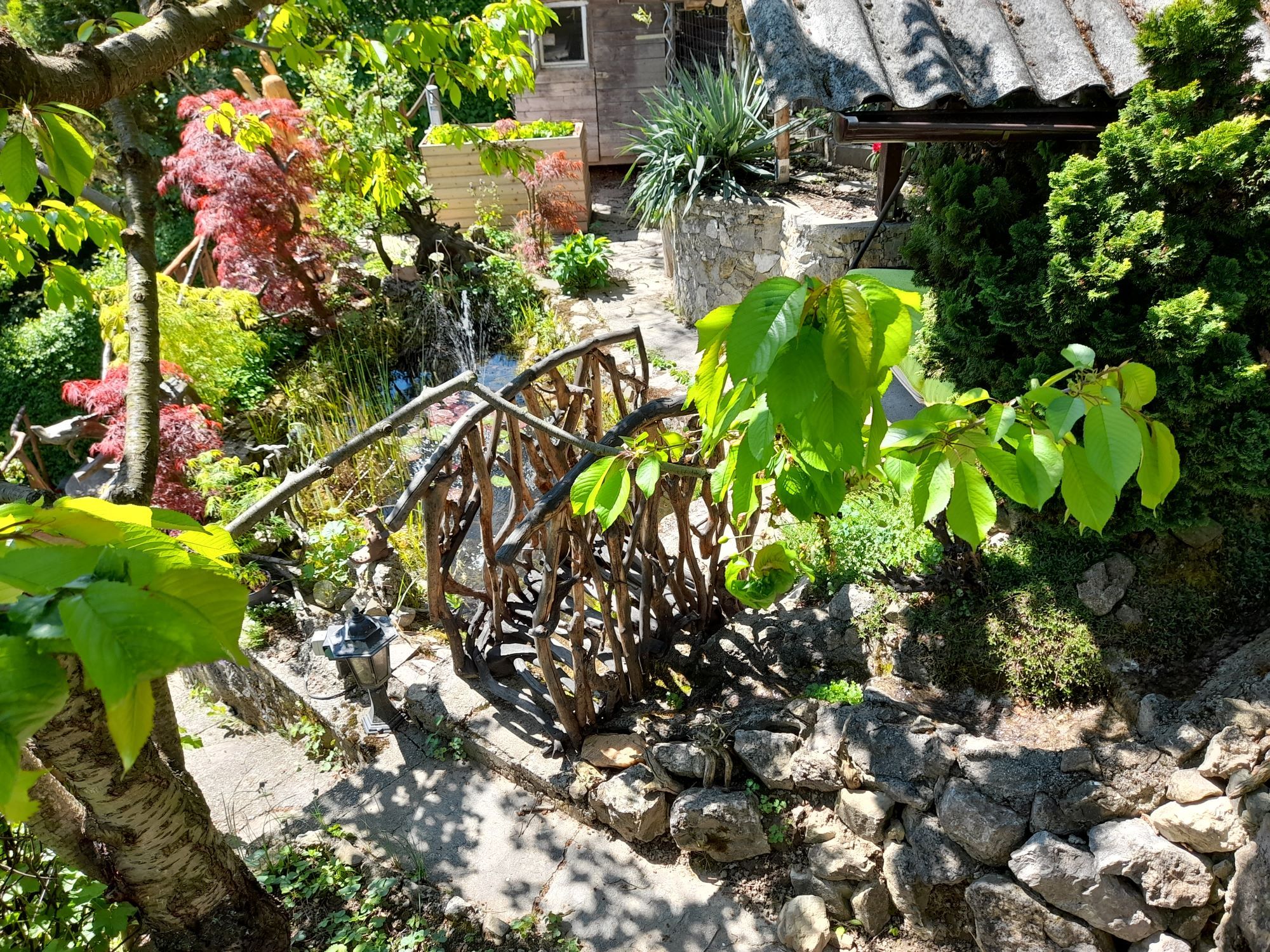 Garden with wooden bridge, plants and stones.