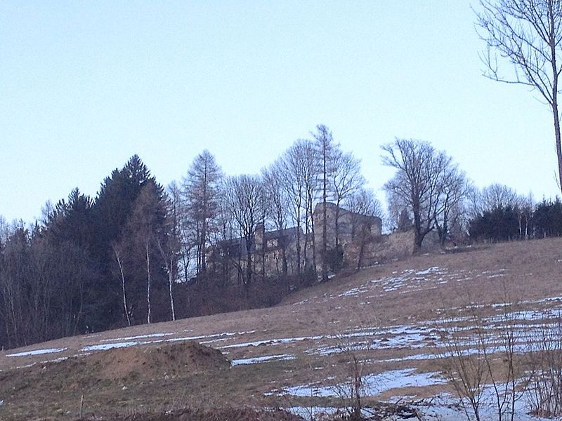 Ruins of Thomasberg Castle on a hill surrounded by trees.