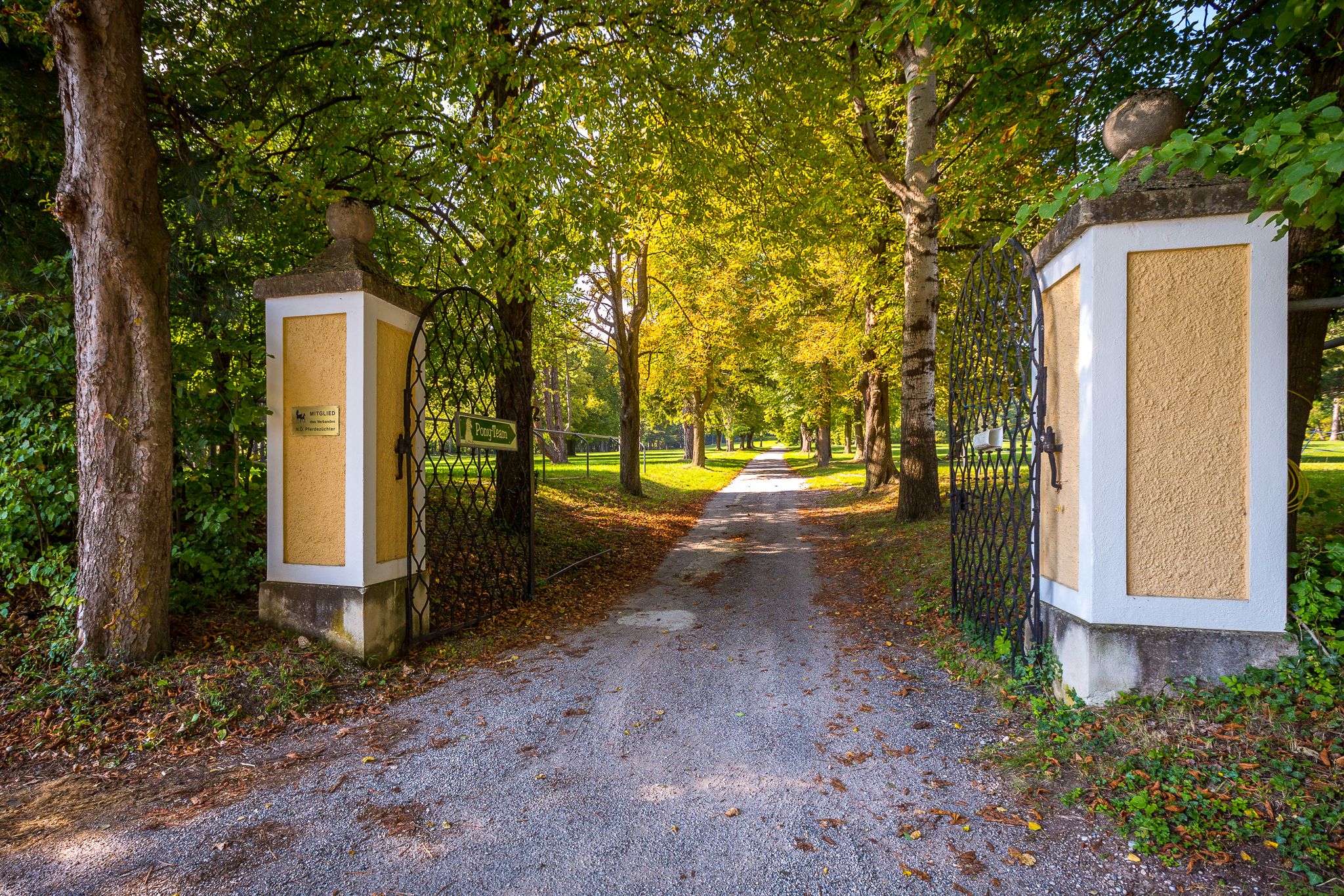 Entrance gate with open lattice gate and tree-lined avenue in the background.