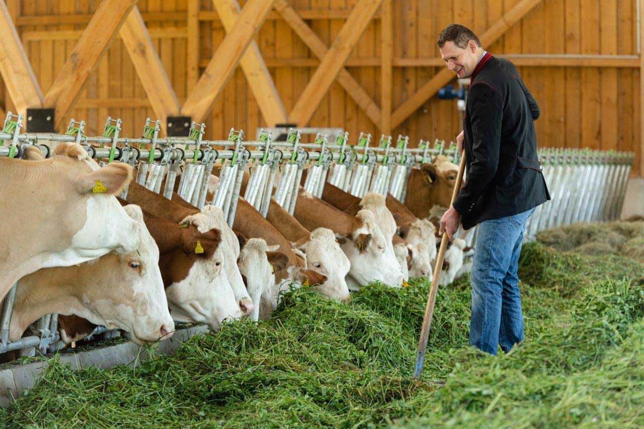 Hammerschmidt organic farm