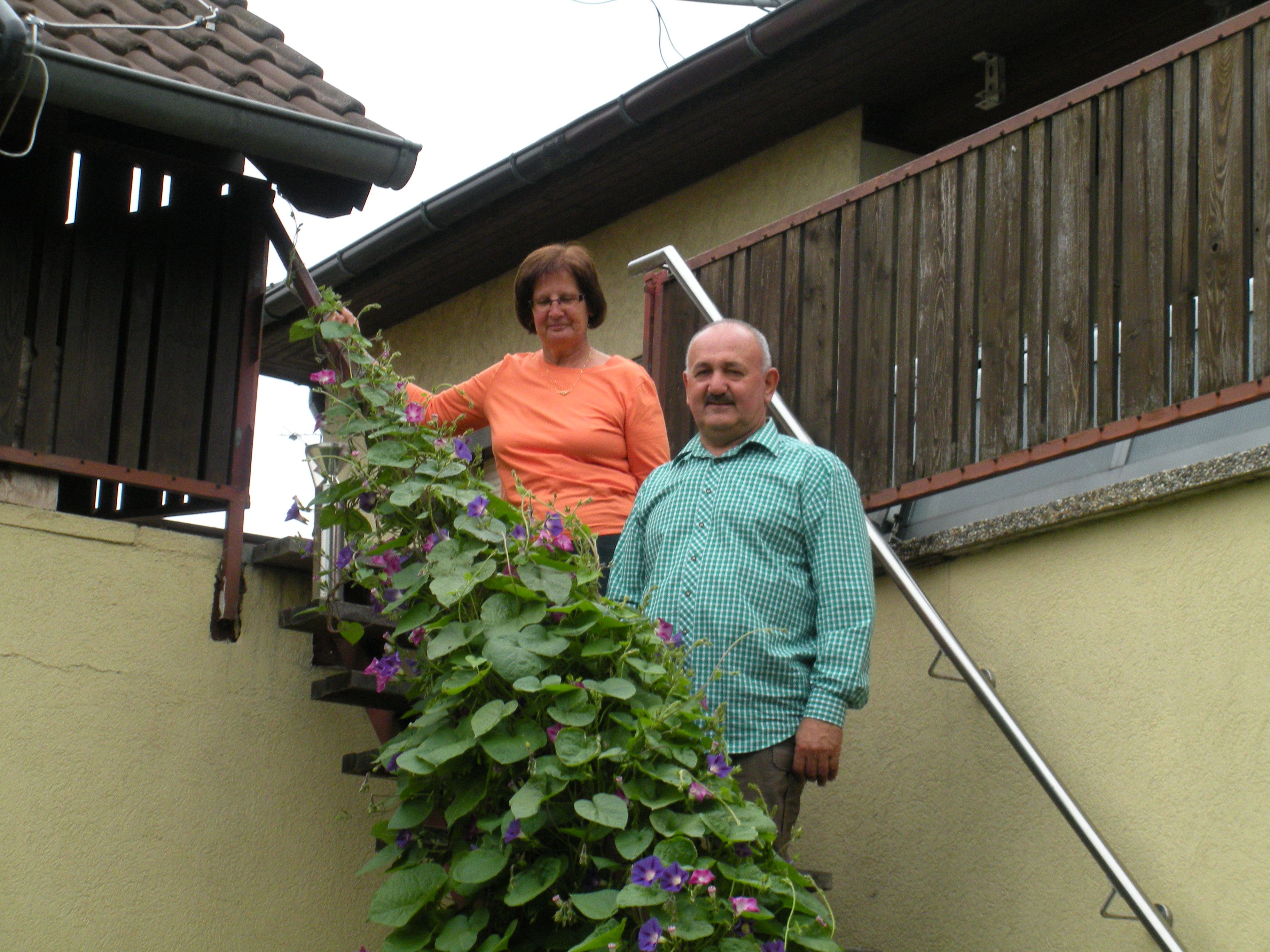 A man and a woman are standing on a staircase next to a flowering plant.