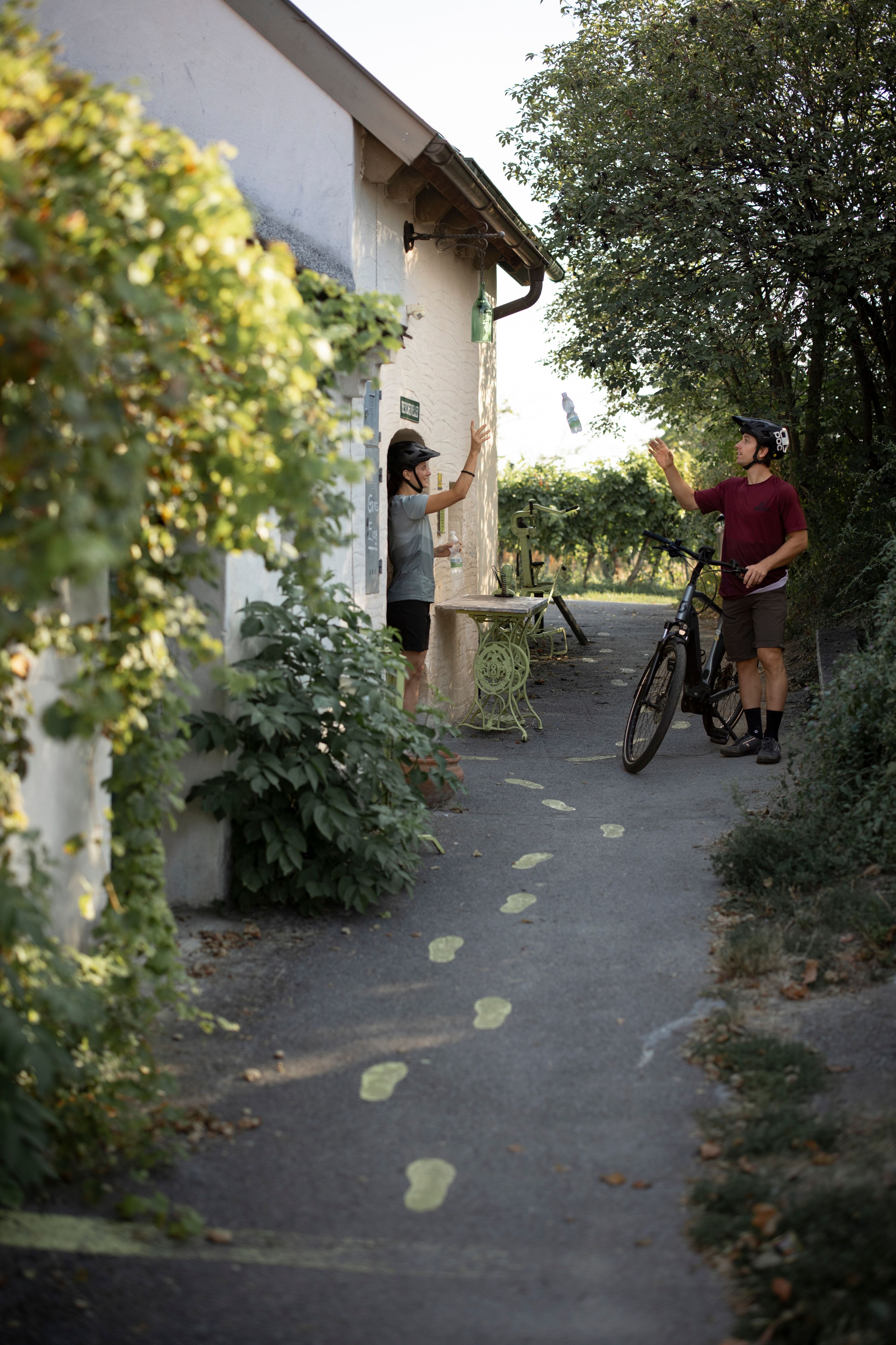 Two people on bicycles in a wine cellar lane, throwing a bottle at each other.