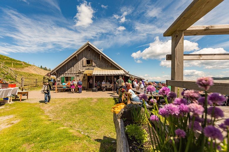 An alpine hut with people sitting outside, surrounded by flowers and meadows under a blue sky.