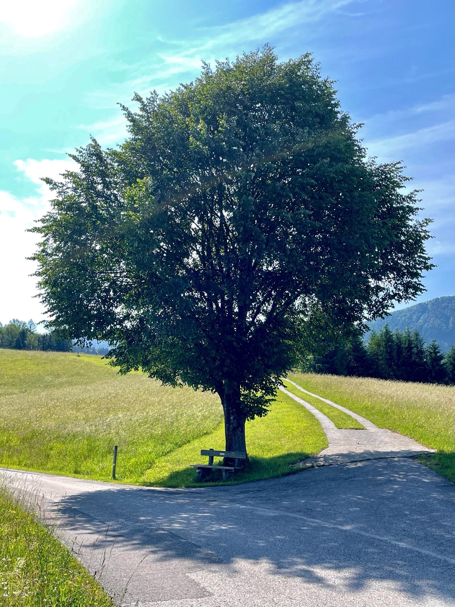 Opponitz circular ditch trail