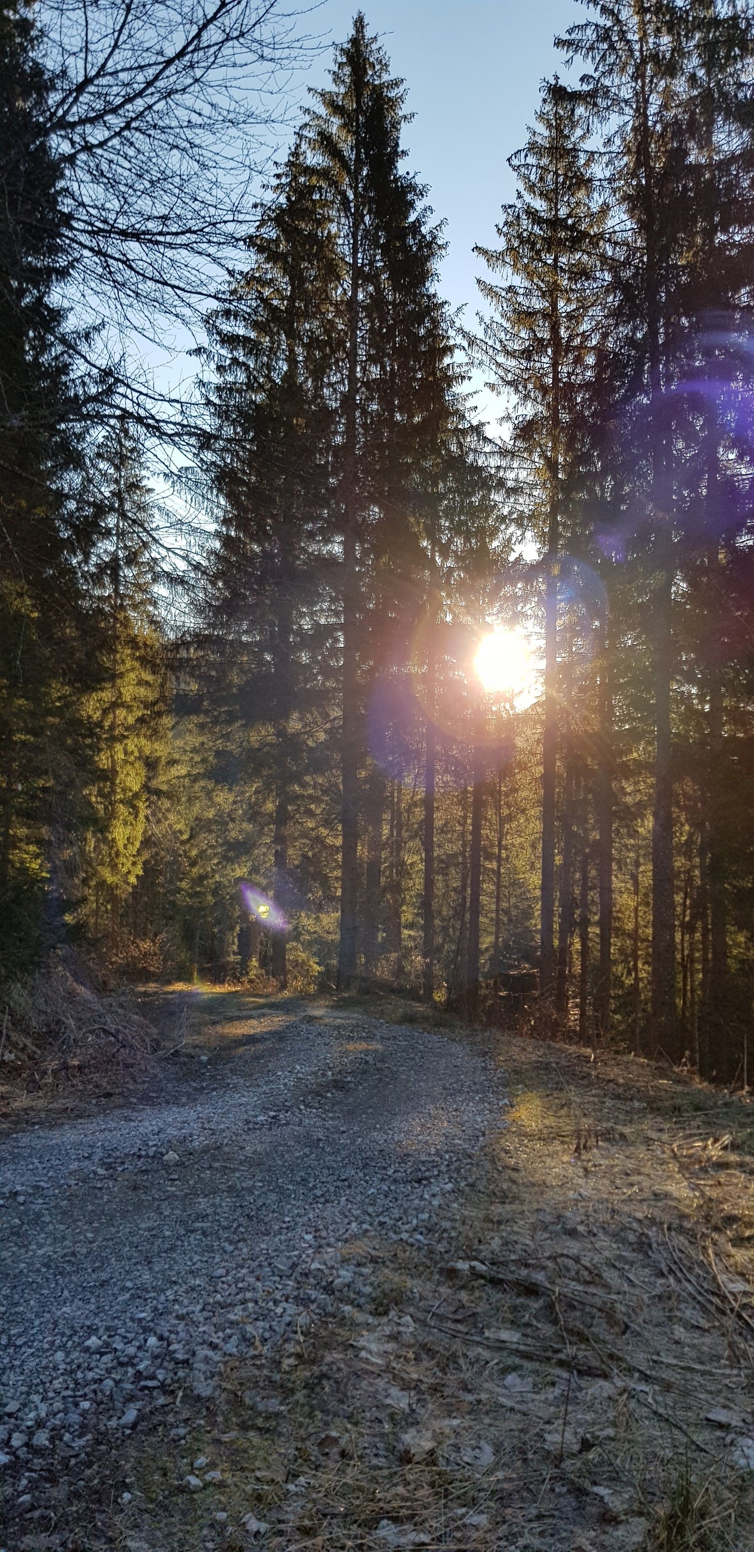 Sunrise