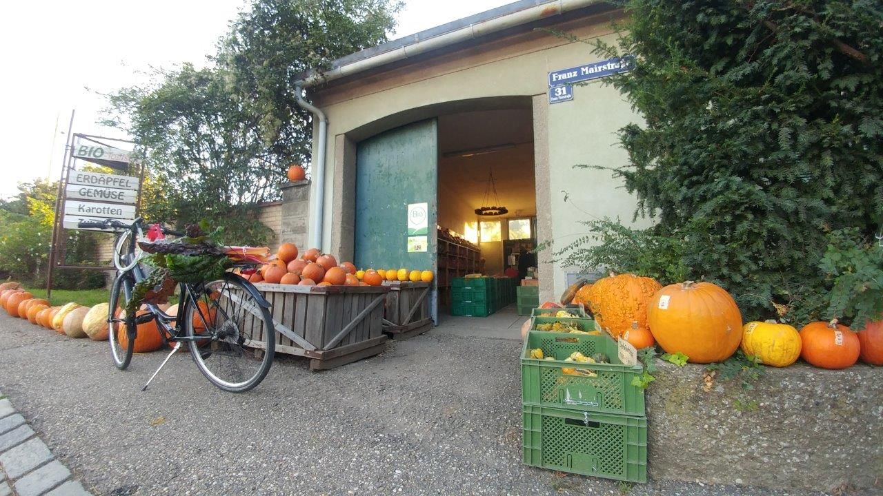 Entrance to an organic farm with pumpkins and a bicycle.