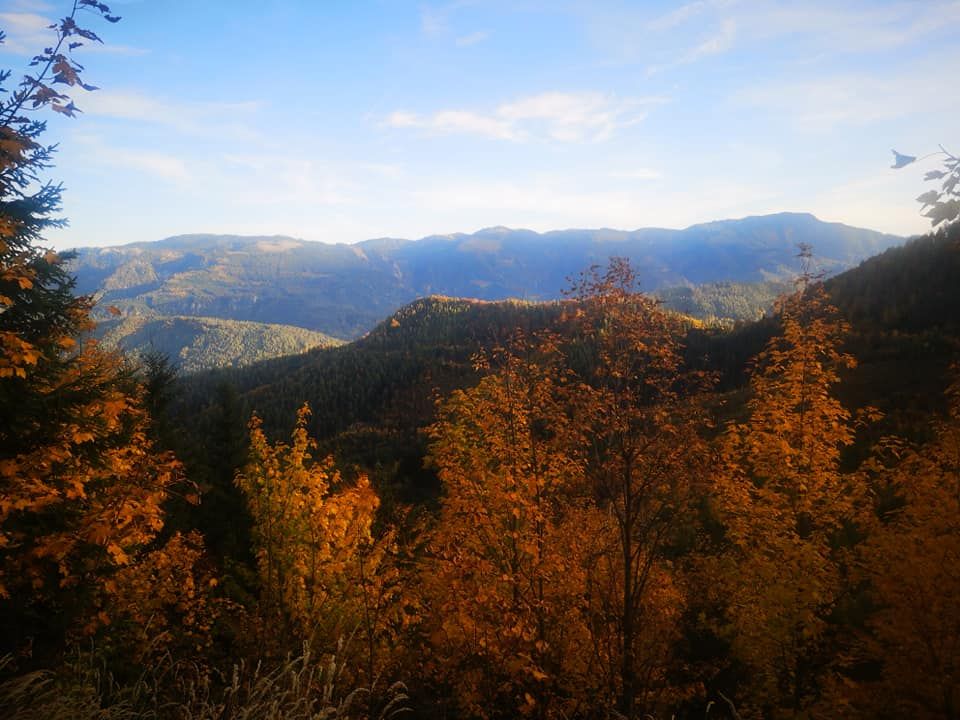 the Ybbstal Alps