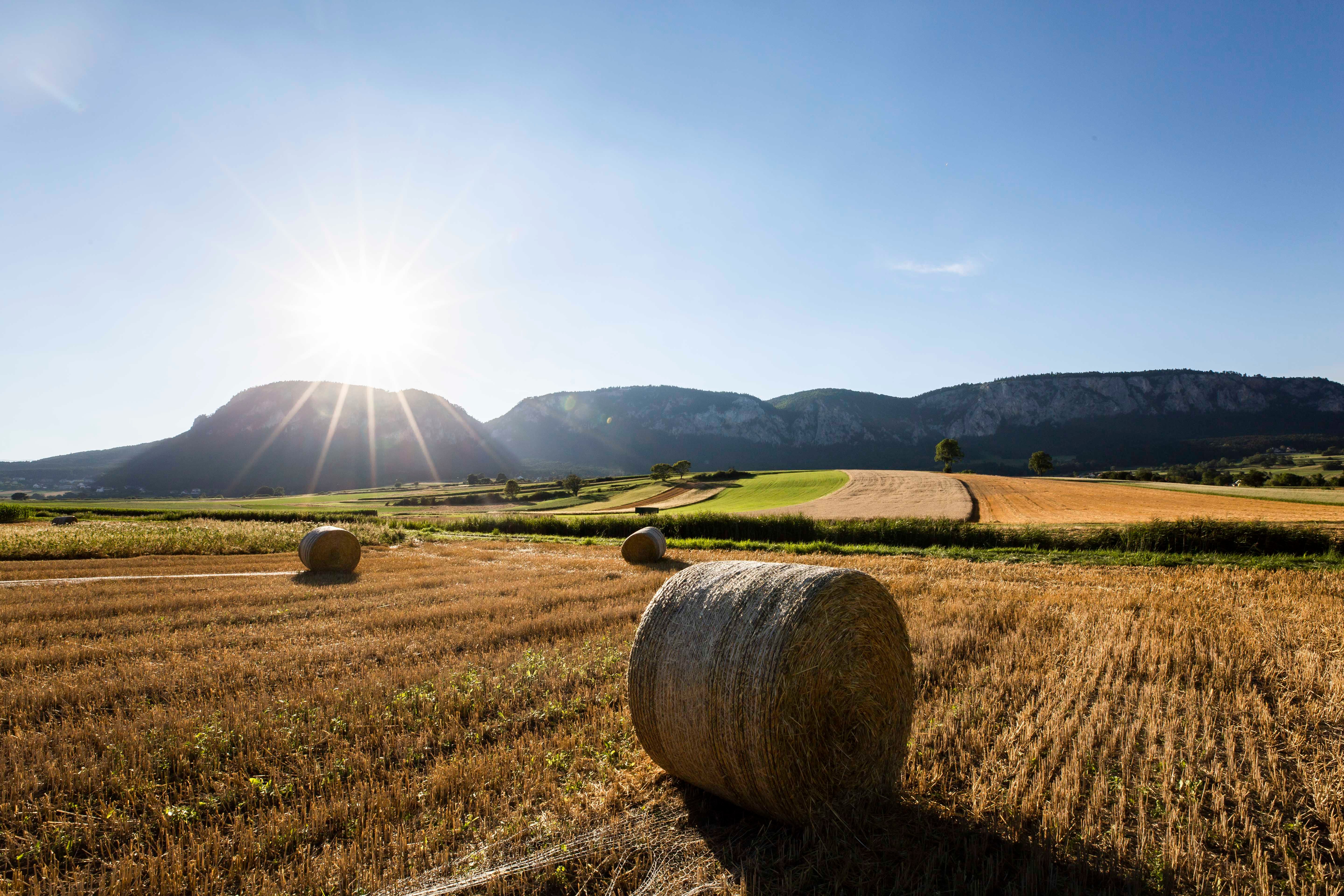 Landscape with bales of straw in a field, mountains in the background and the sun in the sky.