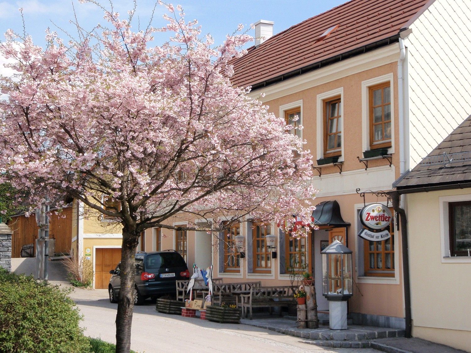 A blossoming tree in front of an inn with a Zwettler sign.