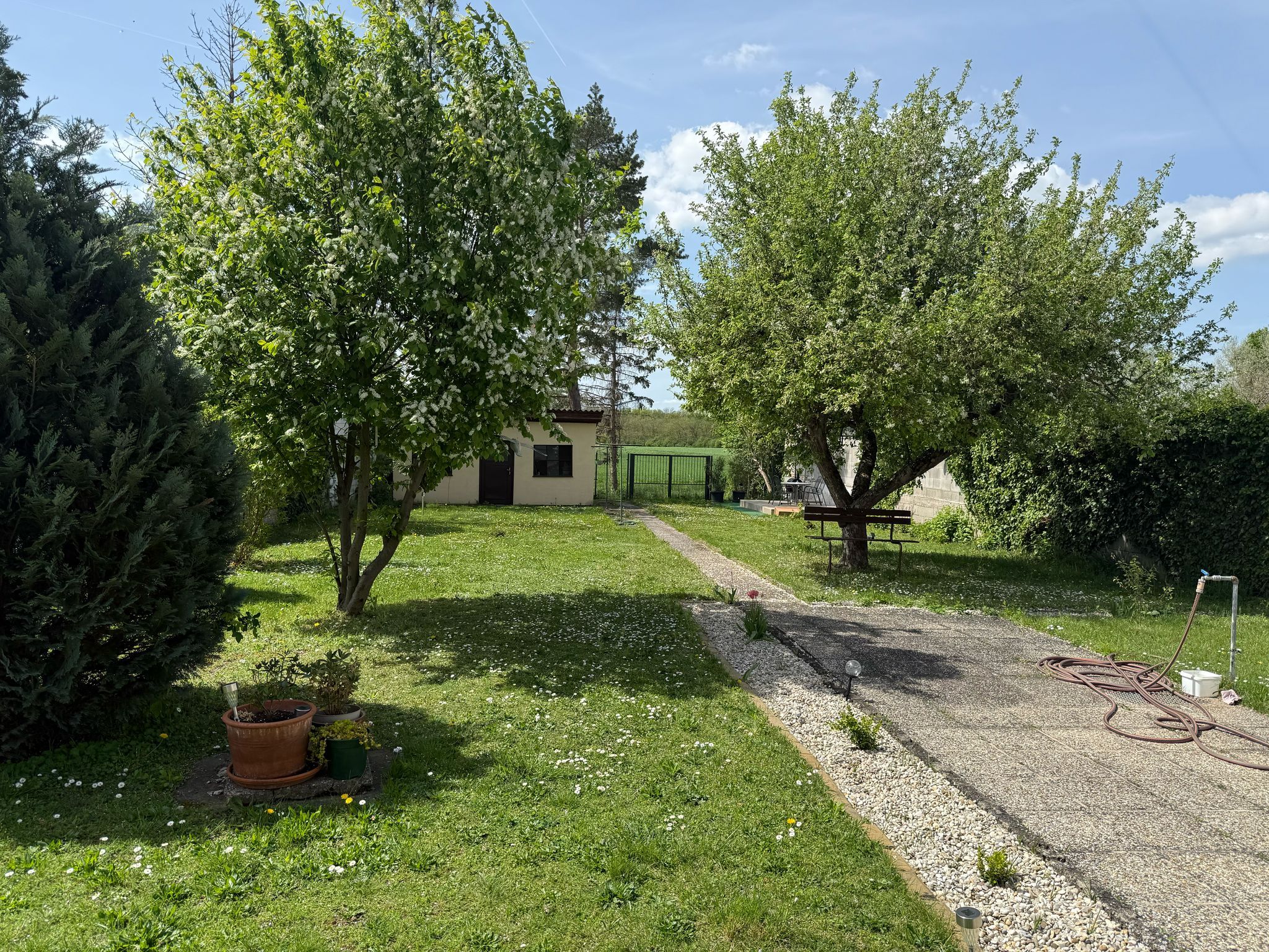 A green garden with trees, a path and a small building in the background.
