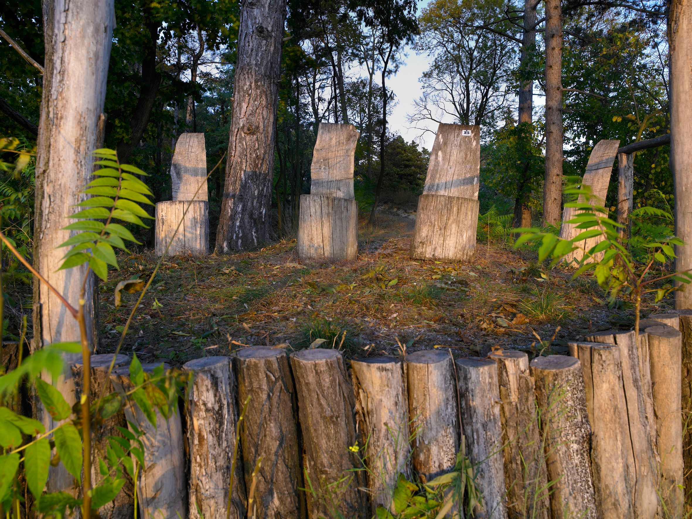 Wooden sculptures in Nexing Castle Park surrounded by trees.