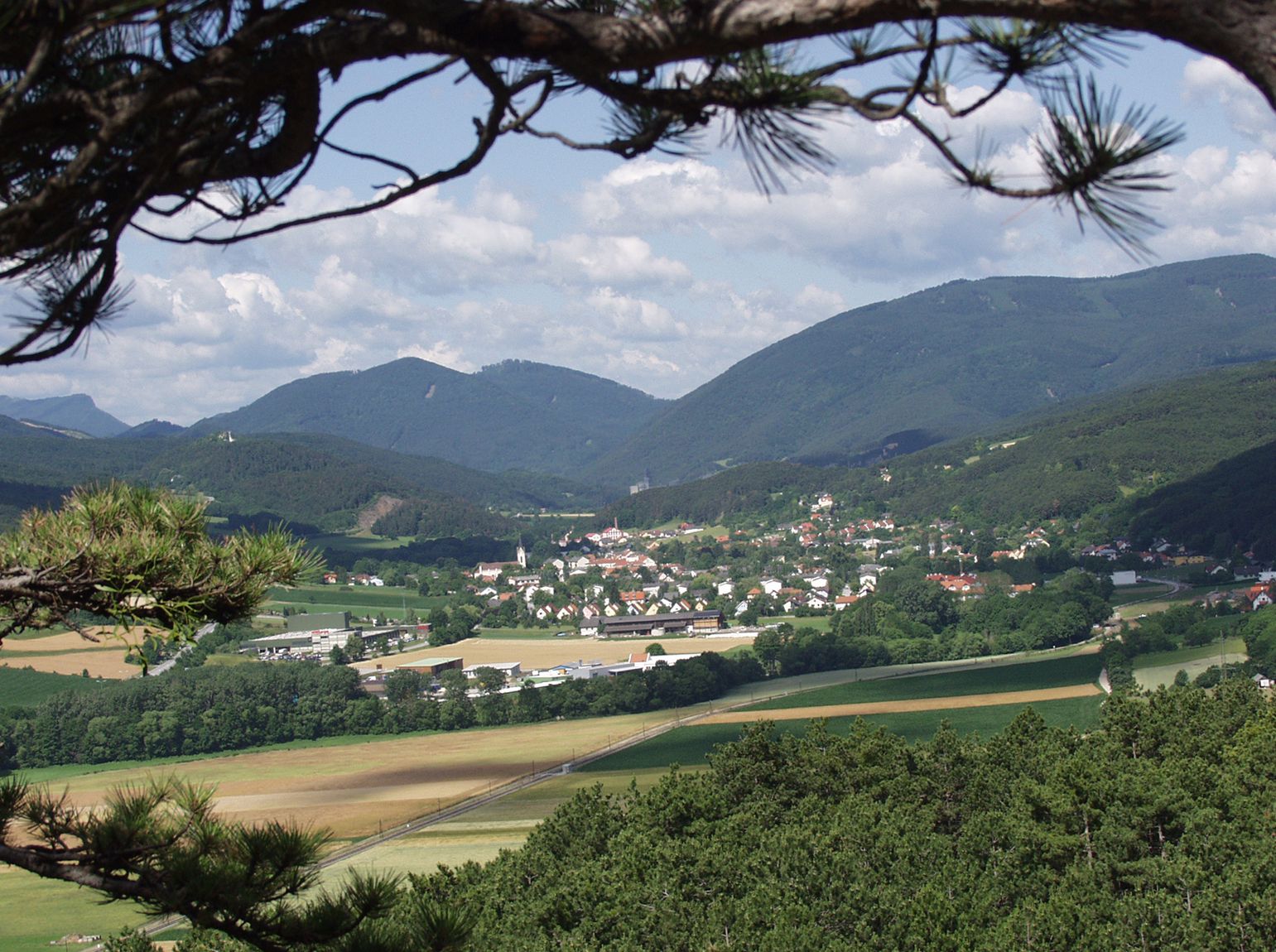 View of Markt Piesting with surrounding fields and mountains in the background.
