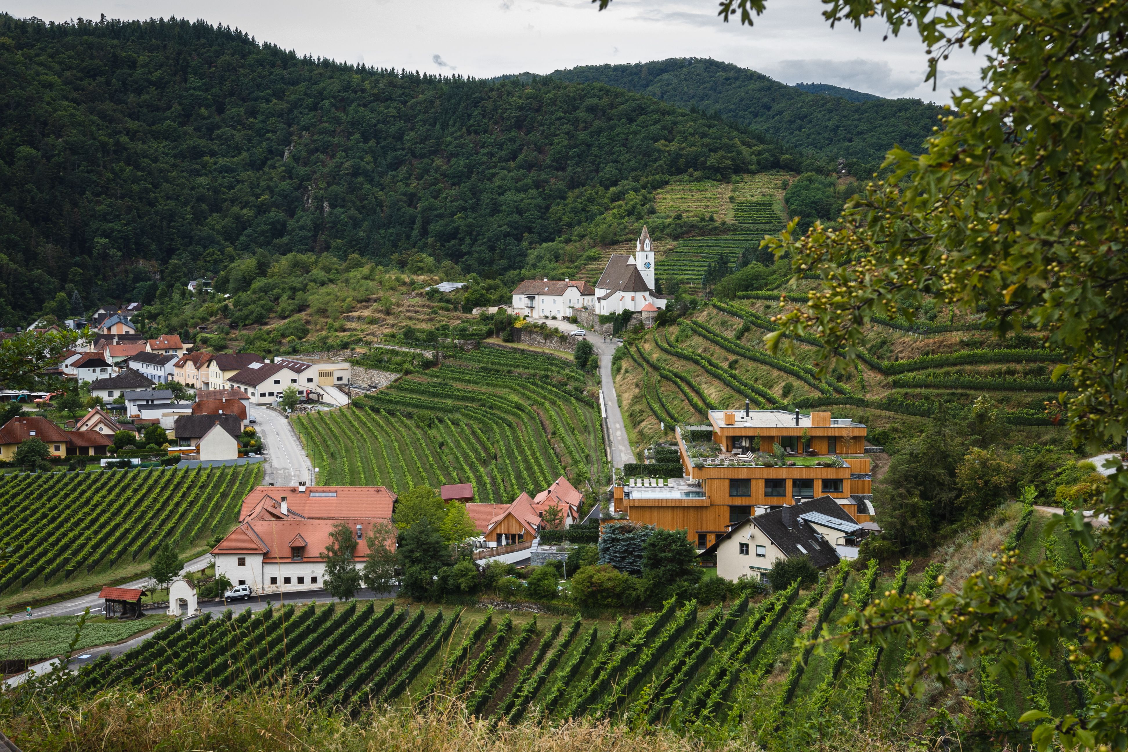 Aerial view of a modern hotel with terraces and green roofs, surrounded by vineyards.