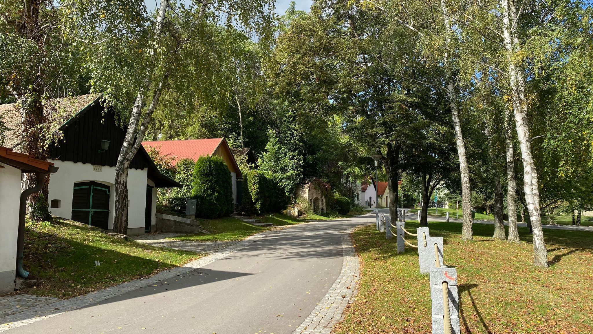A picturesque street (row of cellars) with small houses and trees in a rural setting.